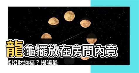 龍龜 房間|龍龜可放房間嗎？風水大師公開擺放技巧，教你消災擋煞招好運！